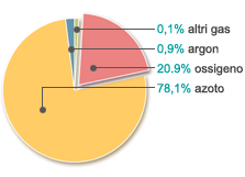 l'aria che respiriamo: 0,1% altri gas, 0,9% argon, 20,9% ossigeno, 78,1% azoto