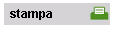immagine pulsante stampa