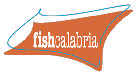 fisch calabria